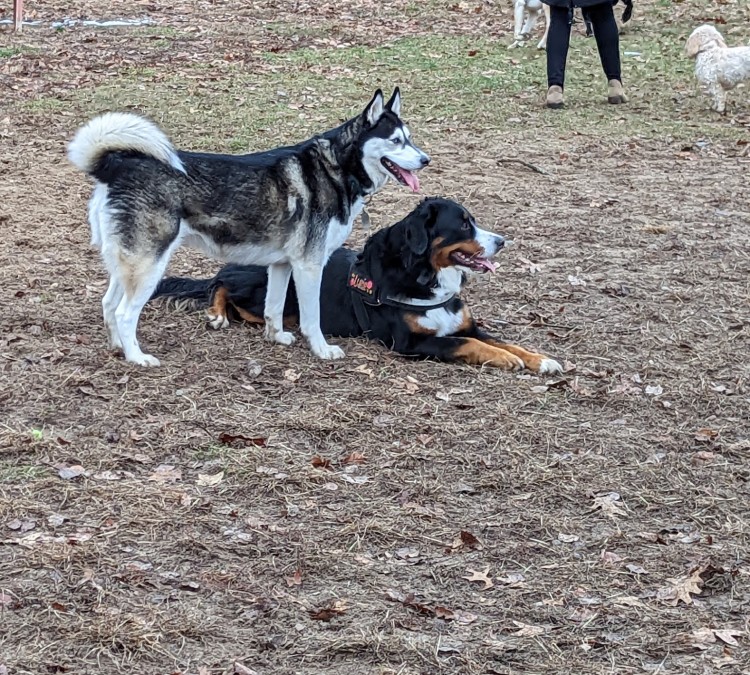 Canadian Lakes Dog Park (Stanwood,&nbspMI)